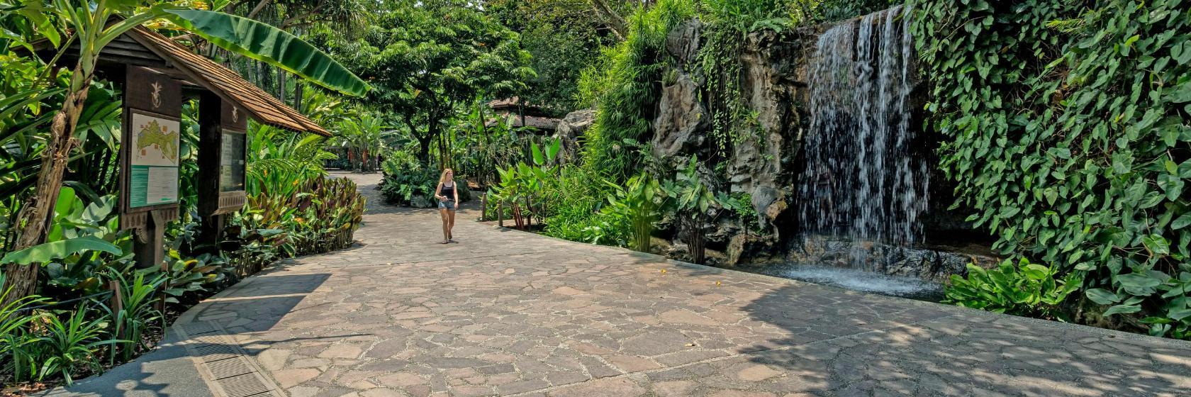 De botaniske haver i Singapore